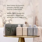 al.ive body Holiday Travel Pack featuring Sea Cotton & Coconut Wash and Lotion and White Tea & Argan Shampoo and Conditioner in a premium Stone and Steel Blue travel bag.