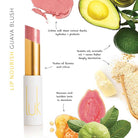 Lip Nourish - Guava Blush by Luk Beautifood available at Rawspice Boutique.