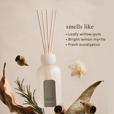 al.ive Willow Gum & Lemon Myrtle reed diffuser in a frosted glass vessel with natural reeds.