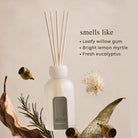 al.ive Willow Gum & Lemon Myrtle reed diffuser in a frosted glass vessel with natural reeds.